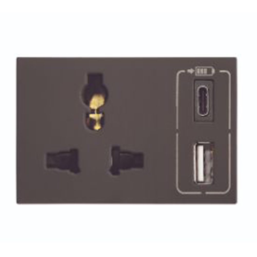 Legrand Lyncus Combi twin USB 2400mA multistandard socket type A & type