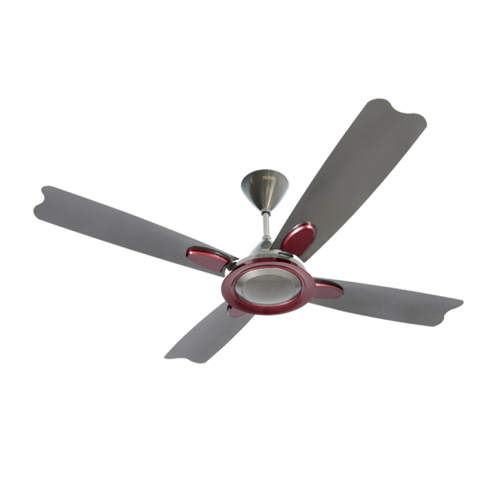 Usha 1300mm Bloom Dahlia W/O Reg GBD Sparkle Black & Maroon