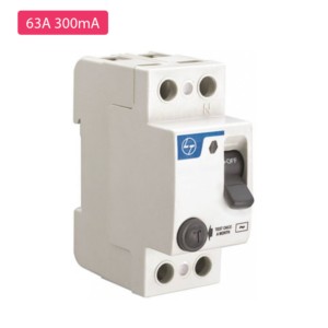 Larsen & Toubro 2 Pole 63A 300mA RCCB/ELCB