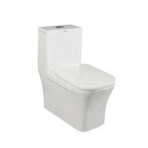 Simpolo Nihon 700x370x760mm S Trap 220mm One Piece EWC with 43024S Soft Close Seat Cover 45024 Dual Flush