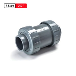 Astral CPVC Pro True Union IND Ball Check SOC EPDM 6.5cm 2.5inch