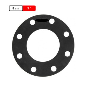 Ashirvad CPVC Rubber Gasket for Flange
