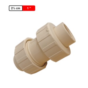 Ashirvad CPVC Non Return Valve 1Inch