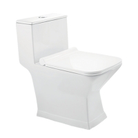 Hindware Tozzo S Trap 220 One Piece Water Closet with slim soft close seat cover