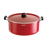Nolta Dum Biryani Pot 16L