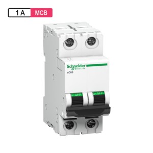 Schneider Electric Acti 9 AC MCB 1A D Curve 2M 2Pole xC60 ISI