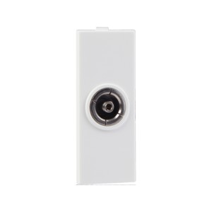 Reo Tv Socket Bliss