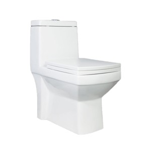 Rak Astor 665x355x730 S Trap 220mm One Piece Floor Mounted Water Closet with Soft Close Seat Cover White