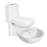 Eauset Montana 660x360x735mm S Trap 220mm White One Piece Water Closet with PP Seat Cover and Montana 500x405x160 White Wall Hung Wash Basin