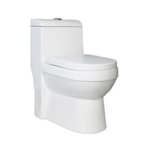 Rak Bianca 650x345x685 S Trap 220mm One Piece Floor Mounted Water Closet with Soft Close Seat Cover White