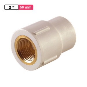 Winmax Brass FTA 2inch 50mm