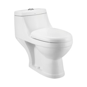 Cera Codi S Trap 710x375x660 Snow White One Piece Water Closet with Soft close seat cover and twin flush