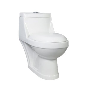 Rak Clara 700x375x680 S Trap 220mm One Piece Floor Mounted Water Closet with Soft Close Seat Cover White