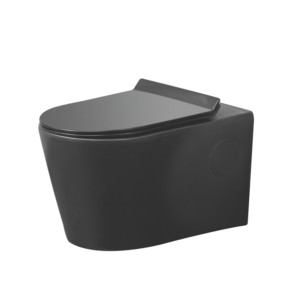 Varmora GlaceTone Colonna 550x360x360mm Charcoal Wall Hung Water Closet with L&Key Rack Bolt