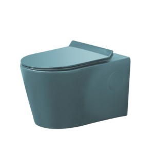 Varmora GlaceTone Colonna 550x360x360mm Jade Wall Hung Water Closet with L&Key Rack Bolt