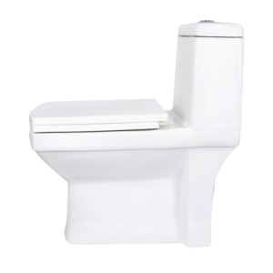 Johnson Altis New 220mm S Trap 665x370x730mm Water Closet White