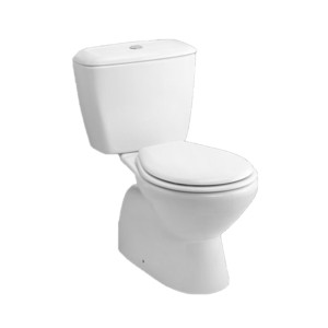 Rak Flora 685x360x380 S Trap 240mm Couple Floor Mounted Water Closet with Cistern with flush and Standard PP Soft Close Seat Cover White