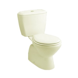 Rak Flora 685x360x380 S Trap 140mm Couple Floor Mounted Water Closet with Cistern with flush and Standard PP Soft Close Seat Cover Ivory