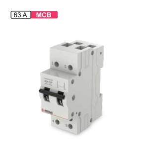 GM G-Home MCB Changeover Switch COS 63A Double Pole 