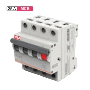 GM G-Protek MCB 25A TPN C 