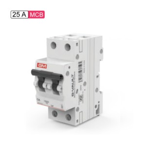 GM G-Vault MCB 25A DP C Curve Series