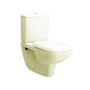 Rak Gem 655x365x365 Extended Wall Hung Water Closet with Cistern with flush and Recta PP Soft Close Seat Cover Ivory