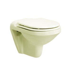 Rak Gloria 555x355x350 Wall Hung Water Closet with Universal PP Seat Cover Ivory