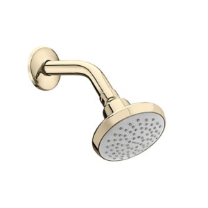 Kohler Complementary Single function showerhead french gold with shower arm and flange