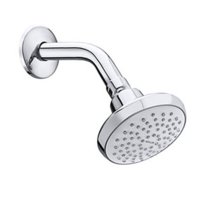 Kohler Complementary Single function showerhead in polished chrome with shower arm and flange