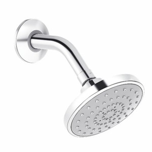 Kohler Rain Duet Single function organic showerhead with shower arm Polished chrome