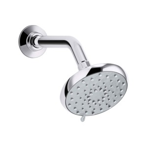 Kohler Awaken Organic multi-mode showerhead with shower arm Polished chrome