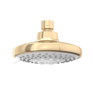 Kohler RainDuet Multifunction showerhead without shower arm french gold