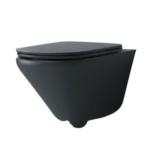 Kohler Modern Life Wall Hung Water Closet with Quiet Close Slim Seat Cover Peacock