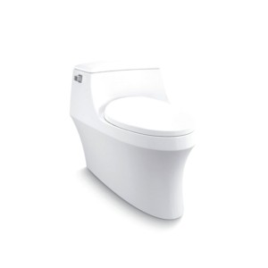 Kohler San Raphael Grande One Piece Water Closet with Seat Cover White