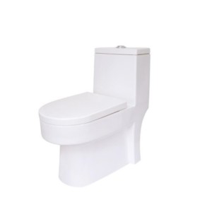 Somany Keats 380x698x740mm S-Trap 220mm One Piece Water Closet with Washdown Flush