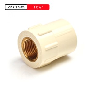Astral CPVC Pro Copper Tube Size Reducer Brass Coupler 2.5x1.5cm 1x.5inch