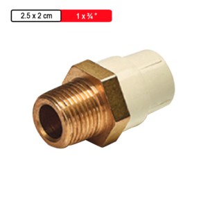 Astral CPVC Pro Copper Tube Size Reducer Male Adaptor Brass Threads 2.5x2.0cm 1x.75inch