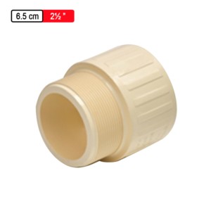 Astral CPVC Pro Male Adaptor CPVC Threads SCH 80 - 6.5cm 2.5inch