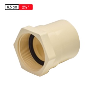 Astral CPVC Pro Female Adaptor CPVC Threads SCH 80 - 6.5cm 2.5inch