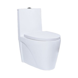 Rak Monet Regular 680x380x755 S Trap 220mm One Piece Floor Mounted Water Closet with Soft Close Seat Cover White