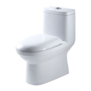 Somany Montana S-Trap 300mm Syphonic One Piece Water Closet 
