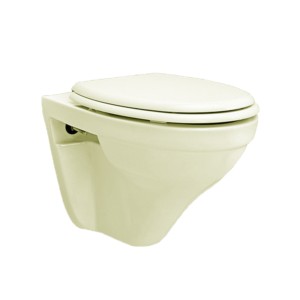 Rak Orchid 550x360x365 Wall Hung Water Closet with PP Soft Close Seat Cover Ivory
