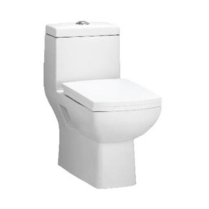 Johnson Rochester 220mm STrap 650x345x695mm Water Closet White