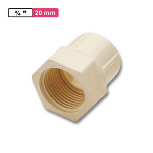 Winmax CPVC Plain FTA 0.75inch 20mm