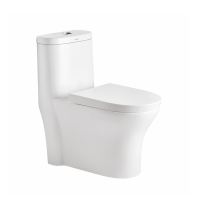 Cera Coach 675x360x685mm S Trap 220mm One Piece EWC with Soft Close Seat Cover and Twin Flush Fittings Snow White