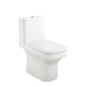 Roca Dama N Water Closet Pan 305mm Dual Outlet Ra801782004 Soft Close Seat Cover