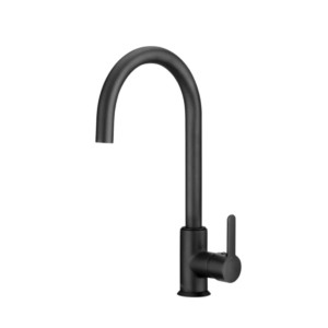 Roca Mencia Kitchen Faucet Matte Black