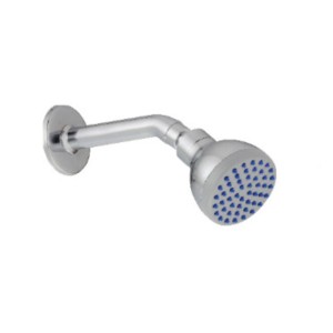 Johnson Single Flow Overhead Shower
