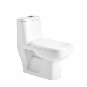 Cera Campbell 660x350x710mm S Trap 220mm One Piece EWC with Seat cover and Twin flush fittings Snow White