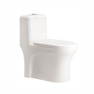 Cera Cimba 660x355x735mm S Trap 300mm One Piece EWC with Slim Soft Close Seat Cover and Twin Flush Fittings Snow White